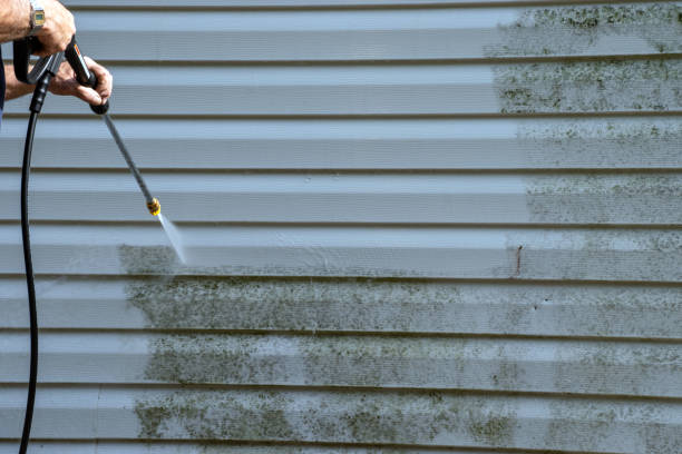 Professional Siding Services in Mount Vernon, IA